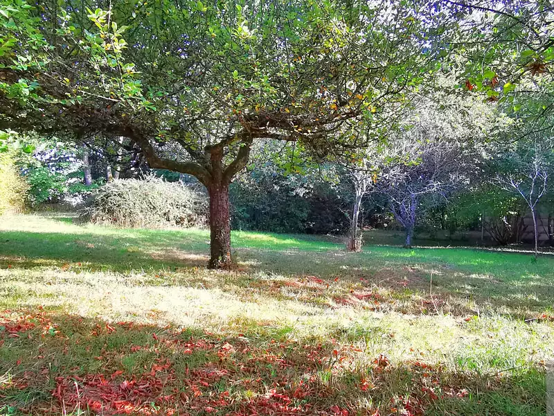 Terrain, 890 m²