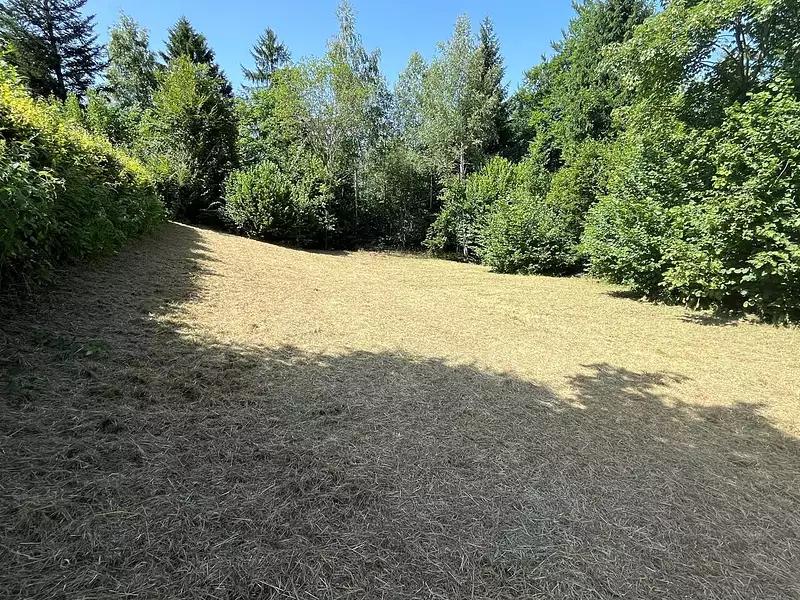 Terrain