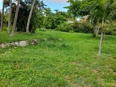 Terrain, 1 645 m²