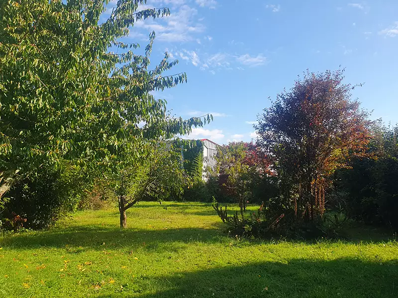 Terrain, 557 m²