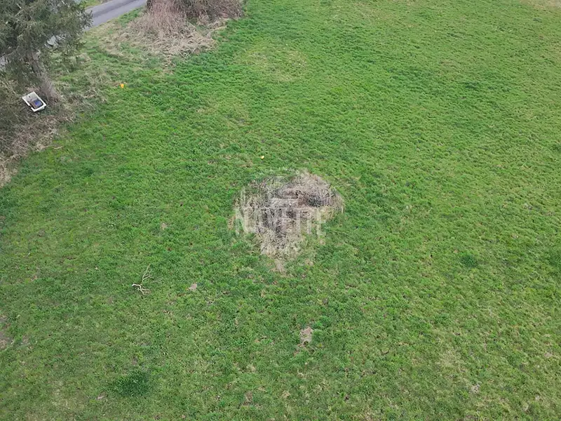 Terrain, 1 276 m²