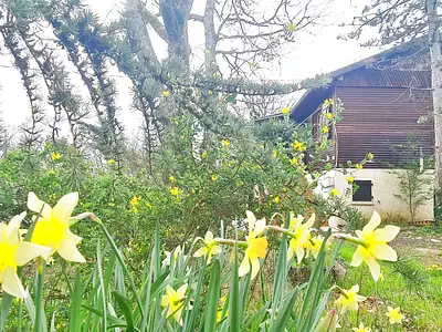 Maison, 95 m²