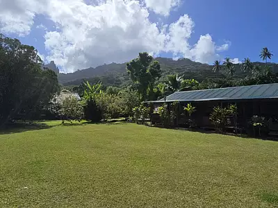 Terrain, 4 985 m²