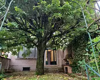 Maison, 230 m²