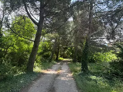 Maison, 430 m²