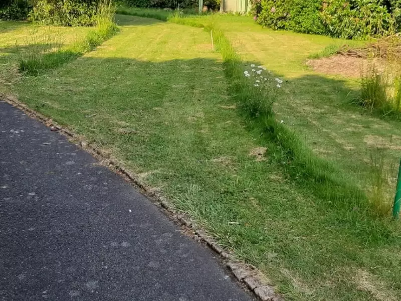 Terrain, 961 m²