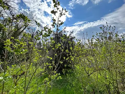 Terrain, 414 m²