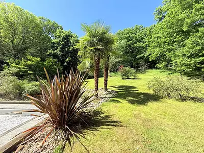 Maison, 220 m²