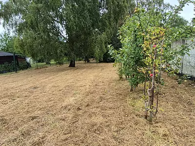 Terrain, 753 m²