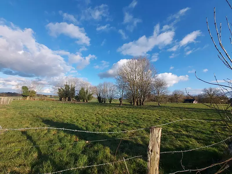 Terrain, 2 146 m²