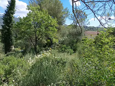 Terrain, 1 323 m²