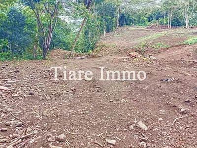 Terrain, 1 136 m²