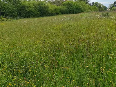 Terrain, 1 980 m²