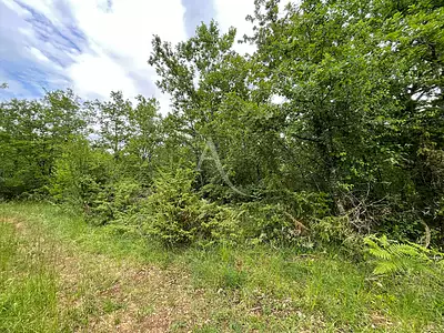 Terrain, 29 925 m²