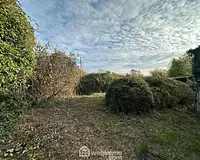 Terrain