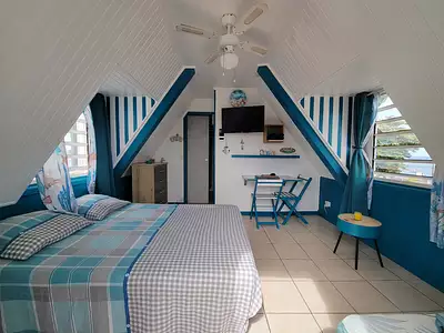 Appartement, 19 m²