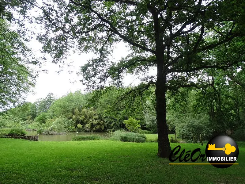 Terrain, 135 755 m²