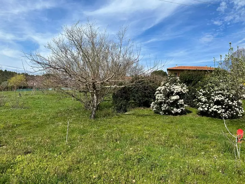 Terrain, 964 m²