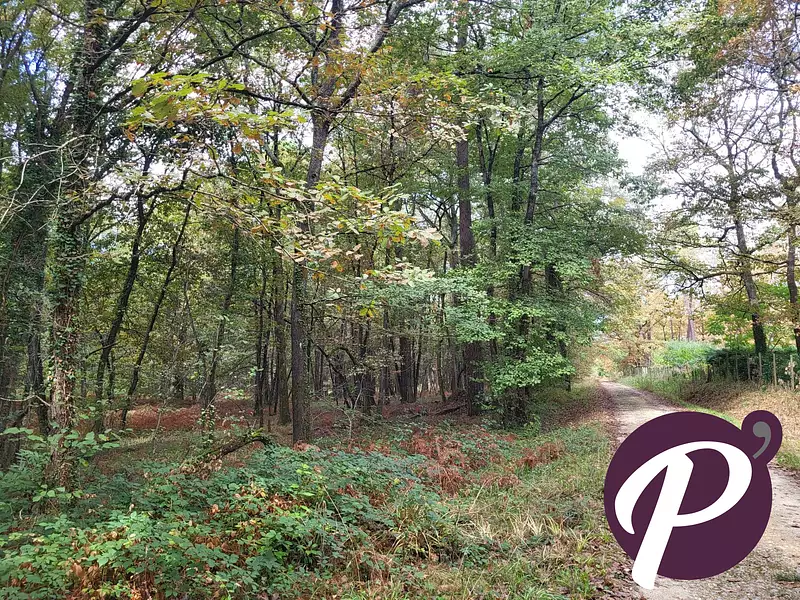 Terrain, 151 213 m²