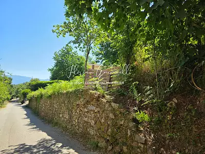 Terrain