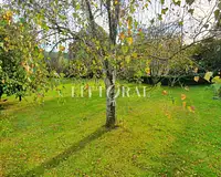 Maison, 180 m²