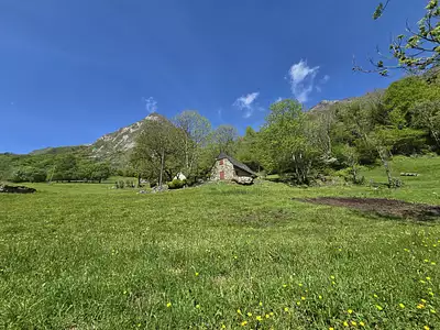 Maison, 249 m²