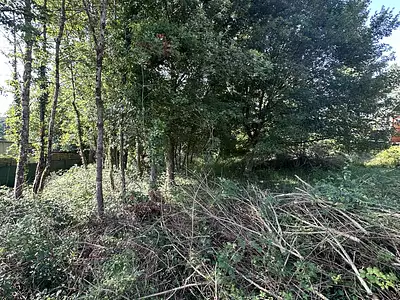 Terrain, 1 000 m²