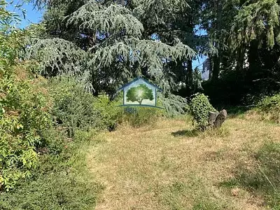 Terrain, 380 m²