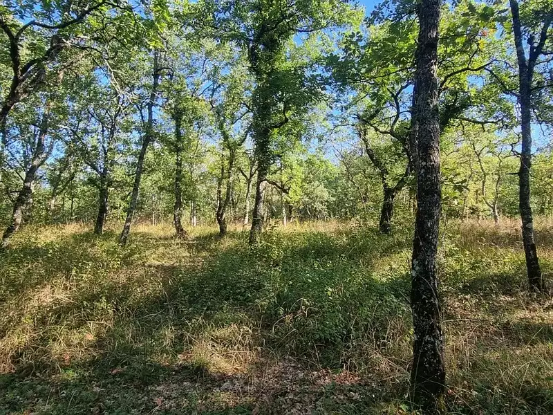 Terrain, 2 954 m²