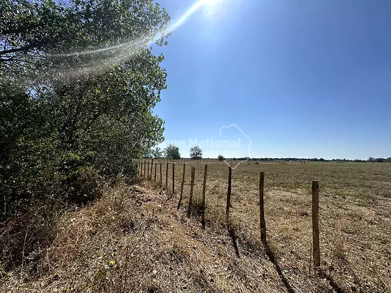 Terrain, 40 380 m²