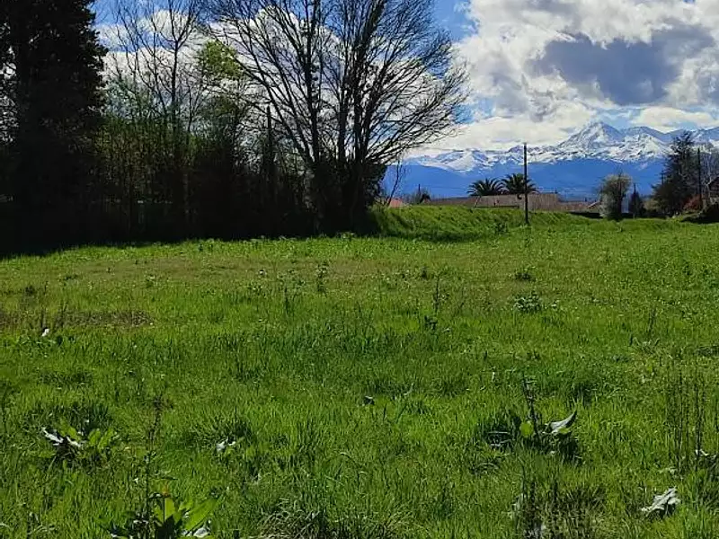 Terrain, 1 200 m²