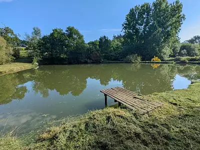 Terrain, 3 900 m²