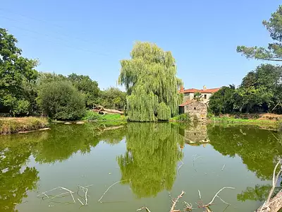 Maison, 145 m²