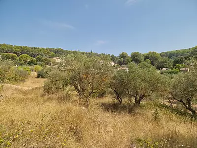 Terrain, 614 m²