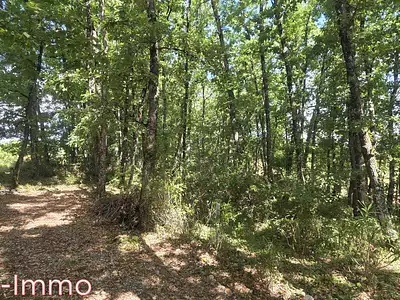 Terrain, 2 560 m²