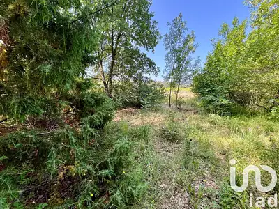 Terrain, 12 527 m²