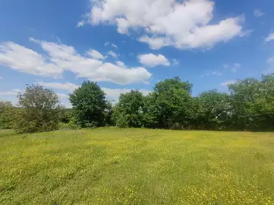Terrain, 8 740 m²