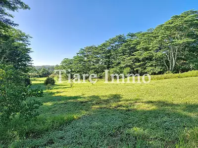 Terrain, 800 m²