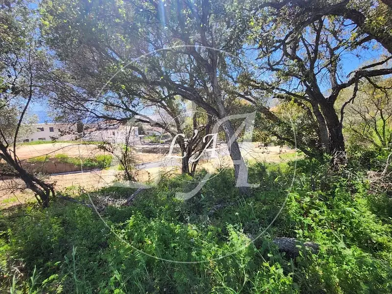 Terrain, 1 037,33 m²