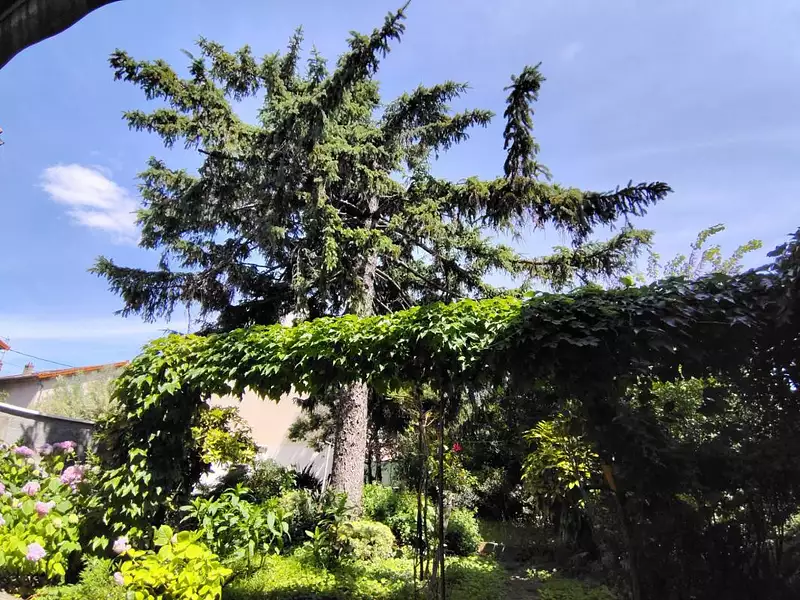 Maison, 70 m²