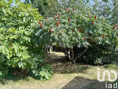 Maison, 78 m²