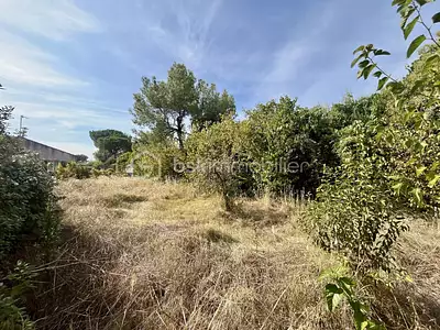 Terrain, 450 m²