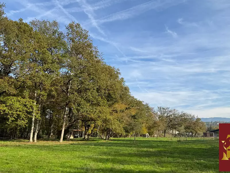 Maison, 291,36 m²