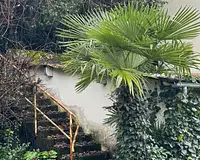 Maison, 215 m²