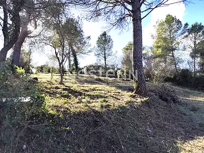 Terrain, 1 323 m²