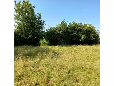 Terrain, 1 211 m²