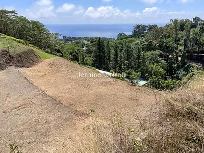 Terrain, 1 640 m²