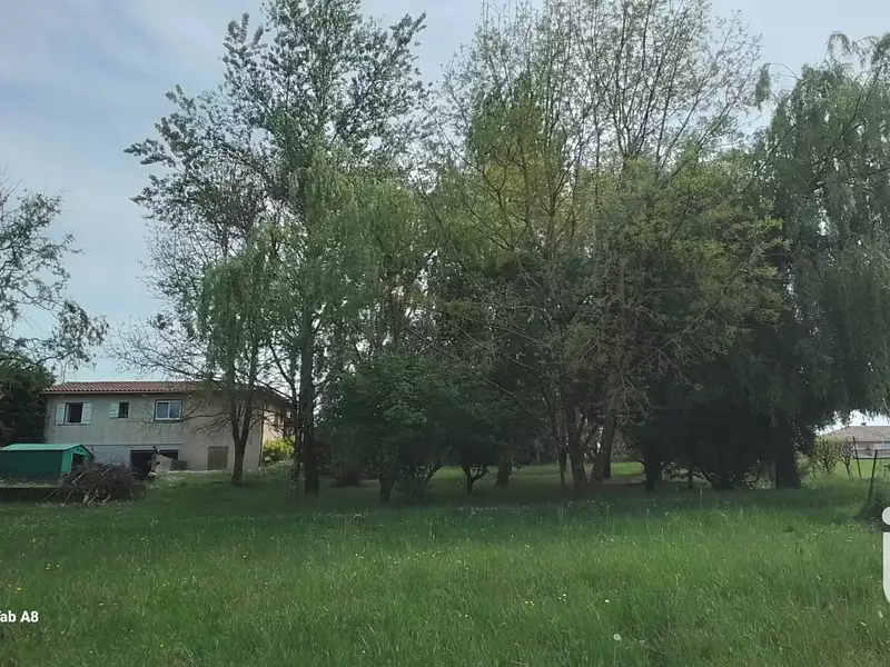 Maison, 55 m²