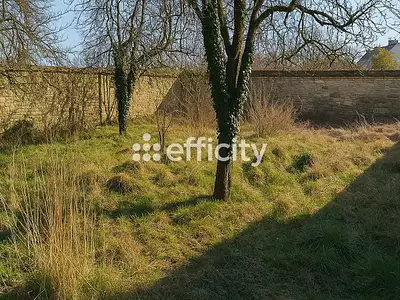 Immeuble, 522 m²
