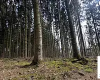Terrain, 2 023 m²